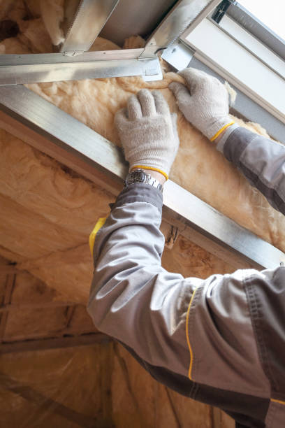 Best Commercial Insulation in Reidland, KY