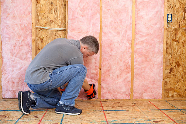 Best Insulation Maintenance and Repair in Reidland, KY