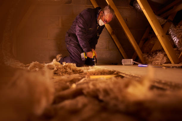 Best Spray Foam Insulation in Reidland, KY