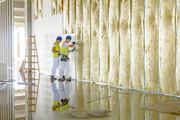 Best Fiberglass Insulation in Reidland, KY